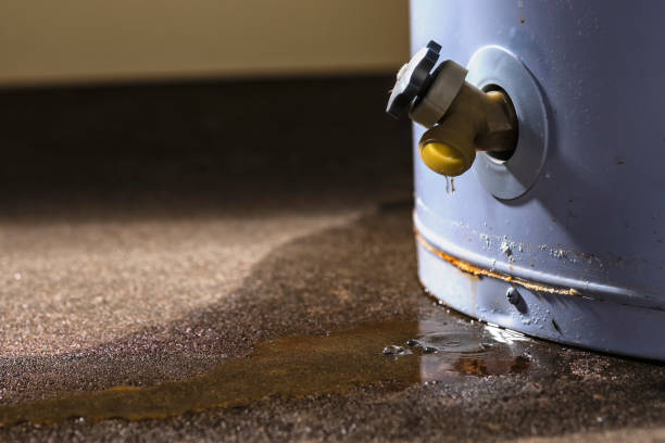 Water damage restoration insurance claims in Tower Lakes, IL
