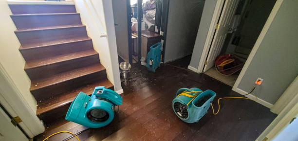 Best Water damage cleanup near me  in Tower Lakes, IL