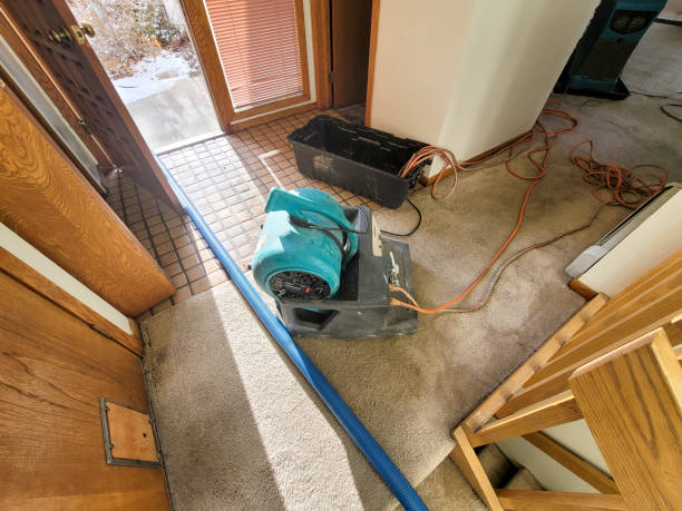  Tower Lakes, IL Water damage restoration Pros