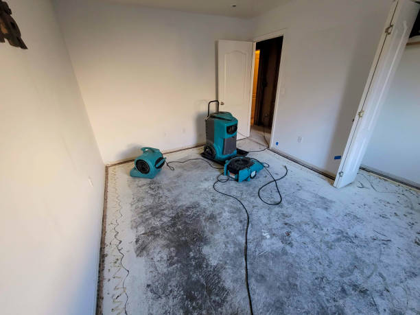 Best Water damage restoration cost  in Tower Lakes, IL