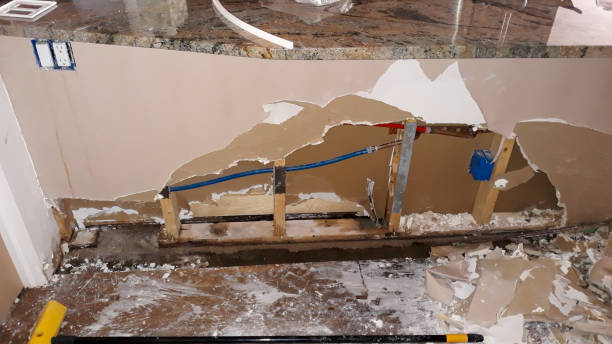 Best Water damage restoration services  in Tower Lakes, IL