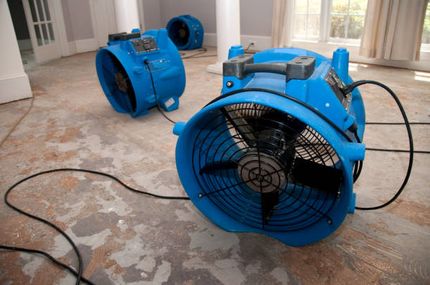 Best Water damage restoration near me  in Tower Lakes, IL