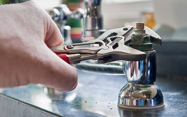 Best Water damage repair service  in Tower Lakes, IL