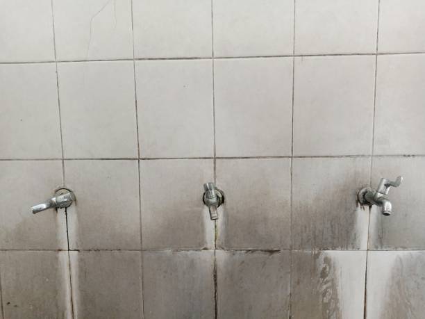 Best Water damage restoration company  in Tower Lakes, IL