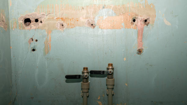Professional Water damage restoration in Tower Lakes, IL