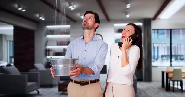 Fire Damage Restoration in Tower Lakes, IL