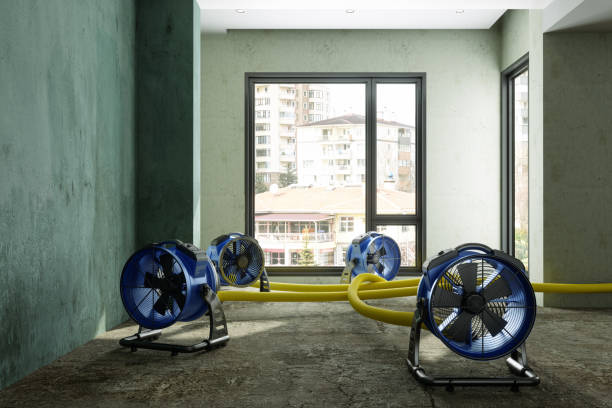 Professional Water damage restoration in Tower Lakes, IL