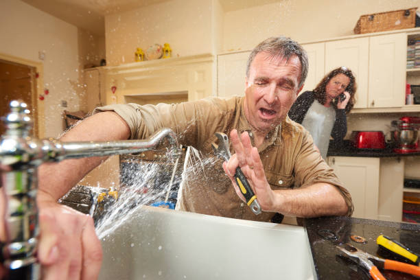 Best Professional water damage repair  in Tower Lakes, IL